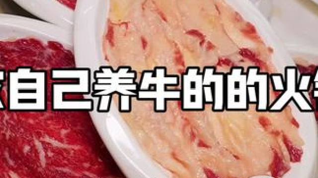 一家自己养牛的火锅店 从屠宰场道到饭桌只需要2小时的火锅店到底味道怎么样#汕头美食 #梅溪徐记三店齐