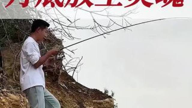 山青水秀鸟语花香，还有这么大的黄辣丁，真的不枉此行！ #车贩子日常