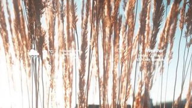 希望你向晴天一样明媚.