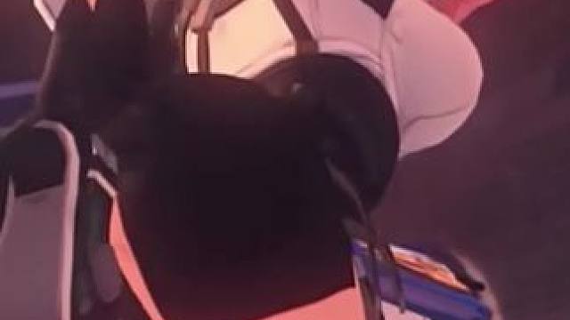 策划太懂了呀，柳全是我想看的 #绝区零 #绝区零创作激励计划 #绝区零月城柳 #月城柳 #柳