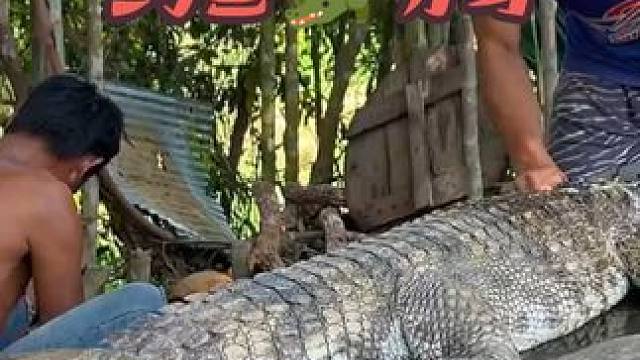 东南亚美食推荐~