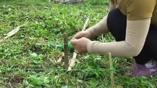 制作小池塘#荒野建造 #我的乡村生活 #农村生活 #记录真实生活