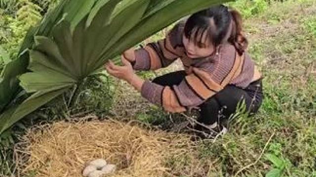 采集鸭蛋#荒野建造 #我的乡村生活 #野外生存 #三农生活