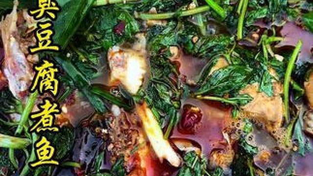 真的太好吃咯！你们一定要试一下 #臭豆腐#砂锅鱼#地方特色美食#双凤#新农人计划2024