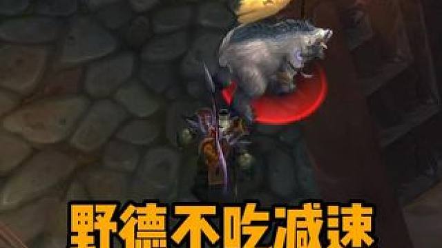 野的不吃减速 吃毒蛇陷阱 22竞技场  #巫妖王之怒怀旧服 #魔兽世界 