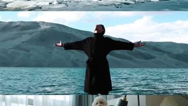 欲买桂花同载酒，或许少年人的自由永远更胜一筹。你准备什么时候出发？#TCL超级筒洗衣机T7Hpro#