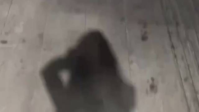 御～「温柔」FM/虚拟恋人