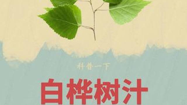 大自然的馈赠白桦树汁，很难想象它是这样萃取的#白桦树汁 #白桦树 #大自然的馈赠