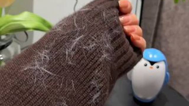 神奇的粘毛器!不仅能轻松清理头发和猫猫狗狗掉落的毛发，水一冲就干净能继续用了 #粘毛神器  #养猫人