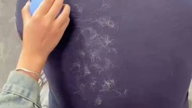 神奇的粘毛器!不仅能轻松清理头发和猫猫狗狗掉落的毛发，水一冲就干净能继续用了 #粘毛神器  #养猫人