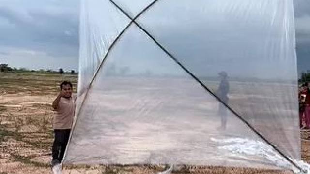 放风筝 #泰国美食 #看一遍笑一遍 #放风筝