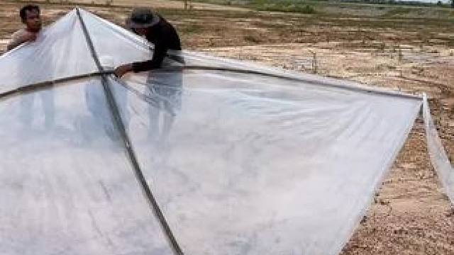 放风筝 #东南亚美食 #东南亚风情 #放风筝