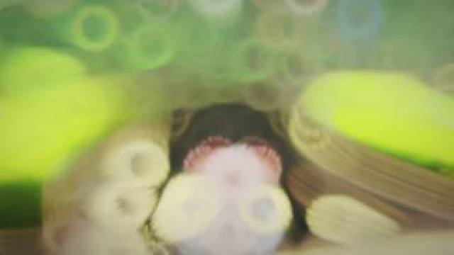 库洛，掌握核心科技 #战双帕弥什