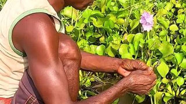 户外野钓黄鳝鱼 #户外抓鱼#钓黄鳝#户外钓鱼