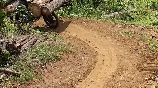 印尼的木材运输