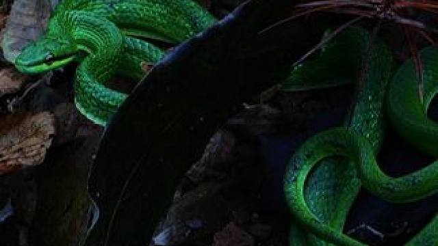 赏秋 为什么现在城里人都喜欢去山里 #走进大自然放松心情 #秋天落叶 #户外随拍 #拥抱自然