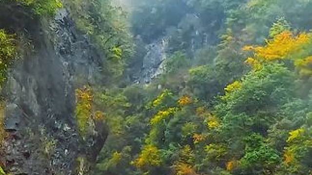 国道209（苏北线）湖北神农架林区段沿途秋色 #最美的风景在路上 #旅行推荐官 #神农架