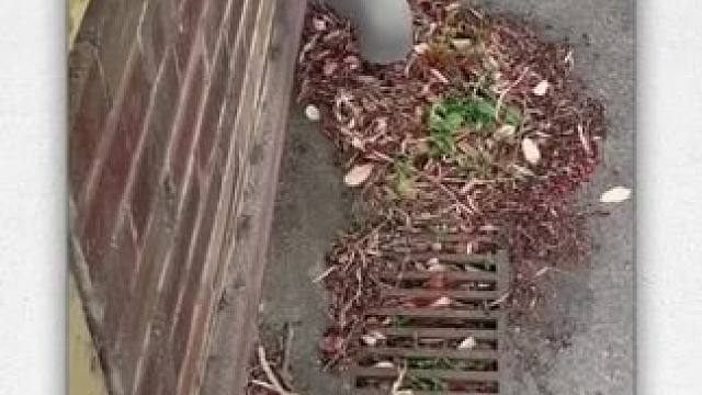 我发布了一个新视频，快来围观吧！