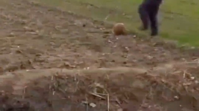 有卧龙在的地方必有凤雏