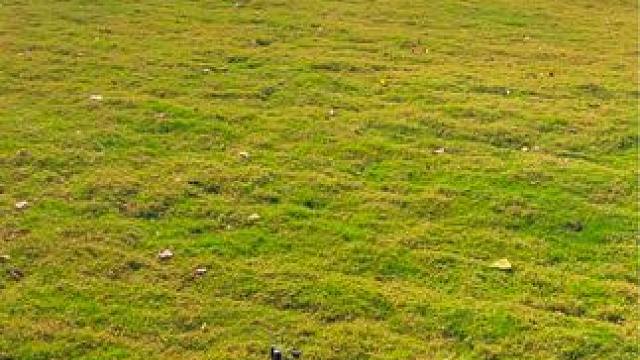 面朝王屋水库的碧水垂钓园。～ #垂钓园 #龙口