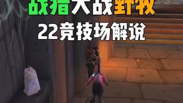 战猎大战野牧 22竞技场解说  #巫妖王之怒怀旧服 #魔兽世界 