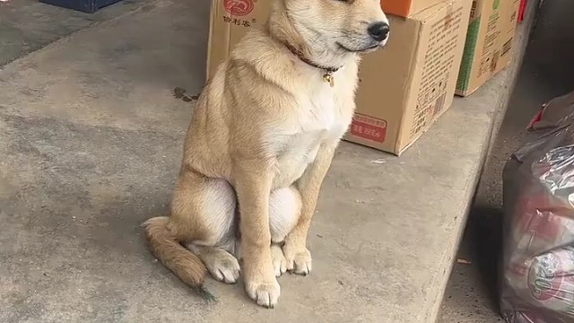 节假日后上班的状态