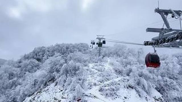 雪季将启，已经梦滑在一个月后白雪皑皑的牛牛山上，趁着最后的早鸟时间囤一波，我们雪场见！#滑雪#这里有