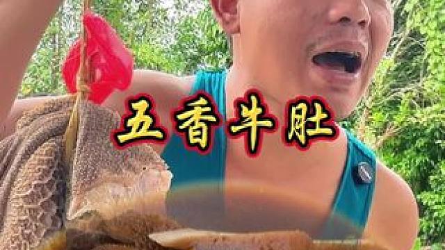 人家嫌弃丢掉的猪肚  我捡回来让小敏做成美食 #我的乡村美食记忆 #农村生活 #乡村味道 #妈呀太香