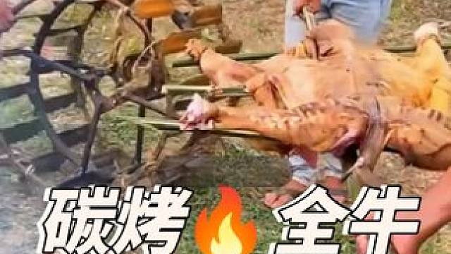 碳烤全牛 #农村美食记录生活 #原始美味 #我的乡村生活 #舌尖上的美食 #原始部落生活