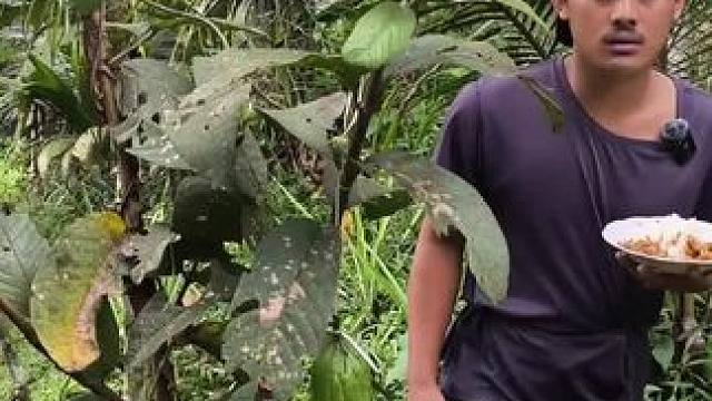 东南亚美食推荐~