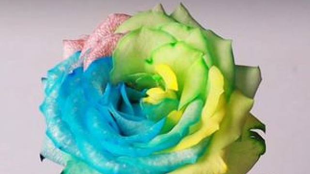 与其让孩子玩虚拟的手机游戏，不如陪他玩真实的科学小实验。不仅锻炼动手动脑能力，还能提升物理化思维。#