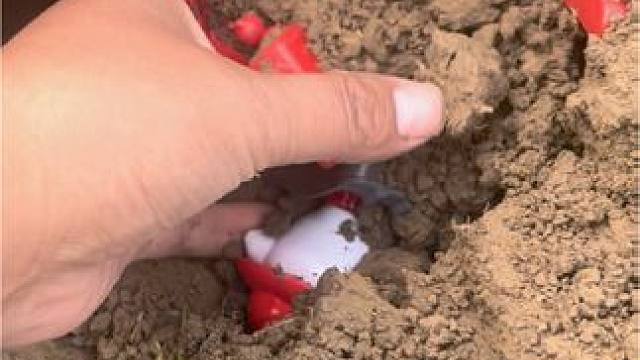 几个怪兽又欺负奥特曼它们了#奥特曼玩具 #儿时玩具 #好玩的玩具