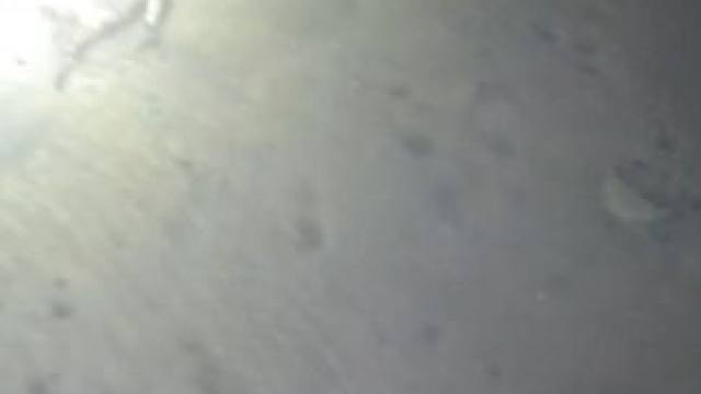 我们一起来数螃蟹，你们喜欢的都是我们不抓的#赶海