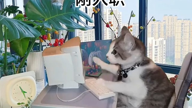 打工人一年前后对比