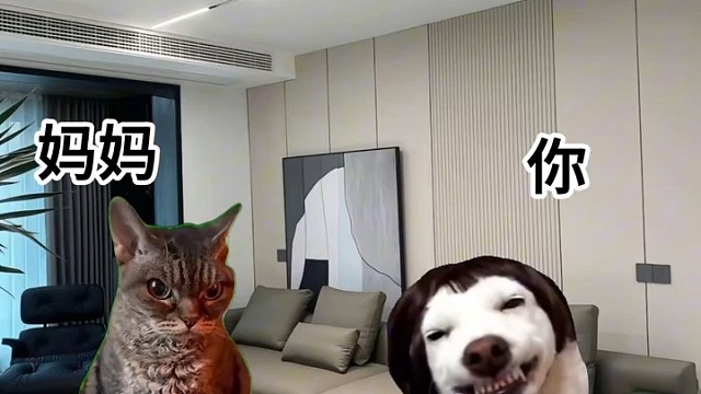 我是一个偏科战神