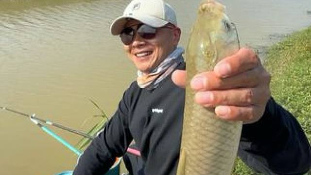 都说水至清则无鱼，那水至混呢？