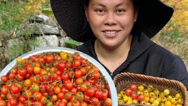 今天带大家一起沉浸式采摘西红柿 #农村生活 #记录生活 #西红柿 #田园生活