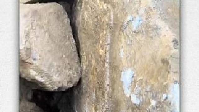 我发布了一个新视频，快来围观吧！