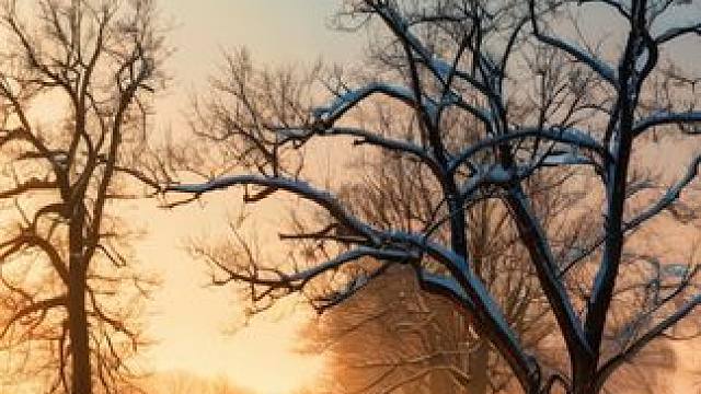 与你牵手，是我此生最美的风景 #人生如梦岁月无情 #心灵疗愈 #情感音乐