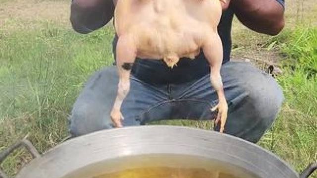 炸鸡 #东南亚美食 #农村生活 #农村美食