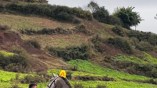 严父压马头 慈母缝战袍 助子上马肩