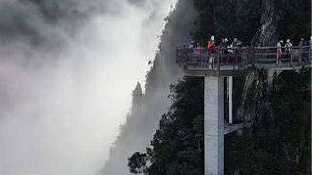 这里不是仙侠界，也不是张家界，这里是湖南莽山的云端栈道！#一座不用爬的山 #莽山五指峰景区 #航拍莽