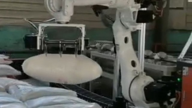 拆垛机器人泰安 拆垛码垛机-自动拆垛机-高精度抓取能力-有线遥控 @化工 @化肥 #堆垛机 #拆垛机