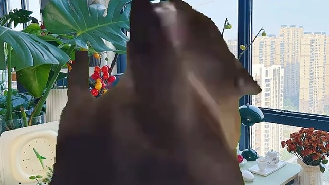 每天上班时候的你