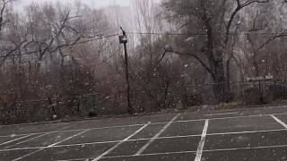 深秋的雪花