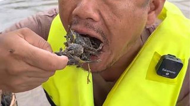 驴哥吃蔬菜拼盘咖喱炖满籽蛋蛋蛙 #泰国美食 #户外美食 #泰国生活 #美食