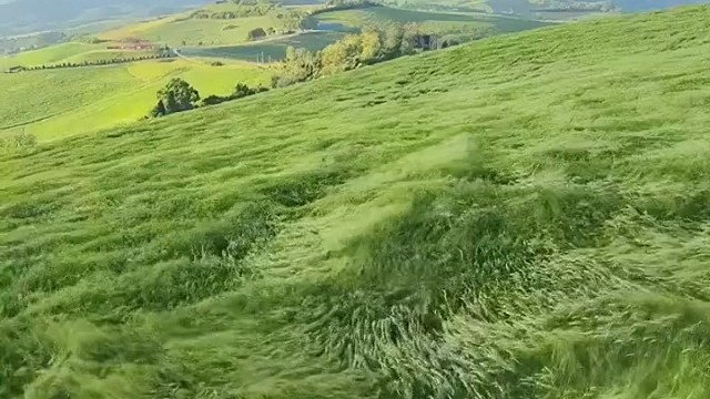 温柔的风，大概是吹来的好消息。