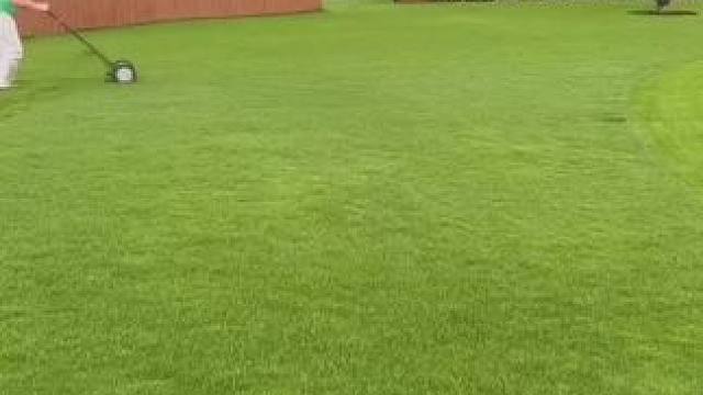 无动力割草机 #国外视频分享 #草坪 #极度舒适