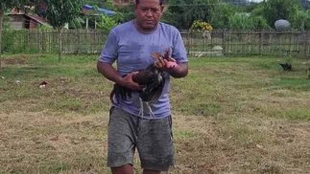 东南亚乡村生活 #我的乡村生活 #原始美味 #乡村美食 #农村生活