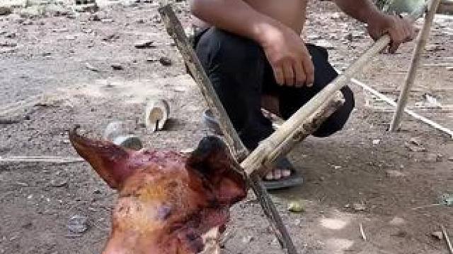 碳烤猪头 #烤猪头#东南亚八面佛#东南亚矮子#我的乡村生活